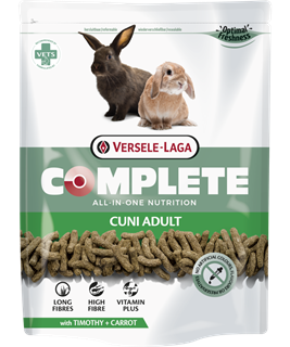 Lapin Nain Adulte