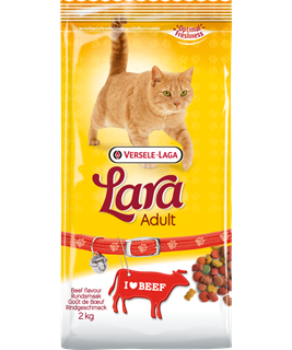 Lara Adulte - 2kg