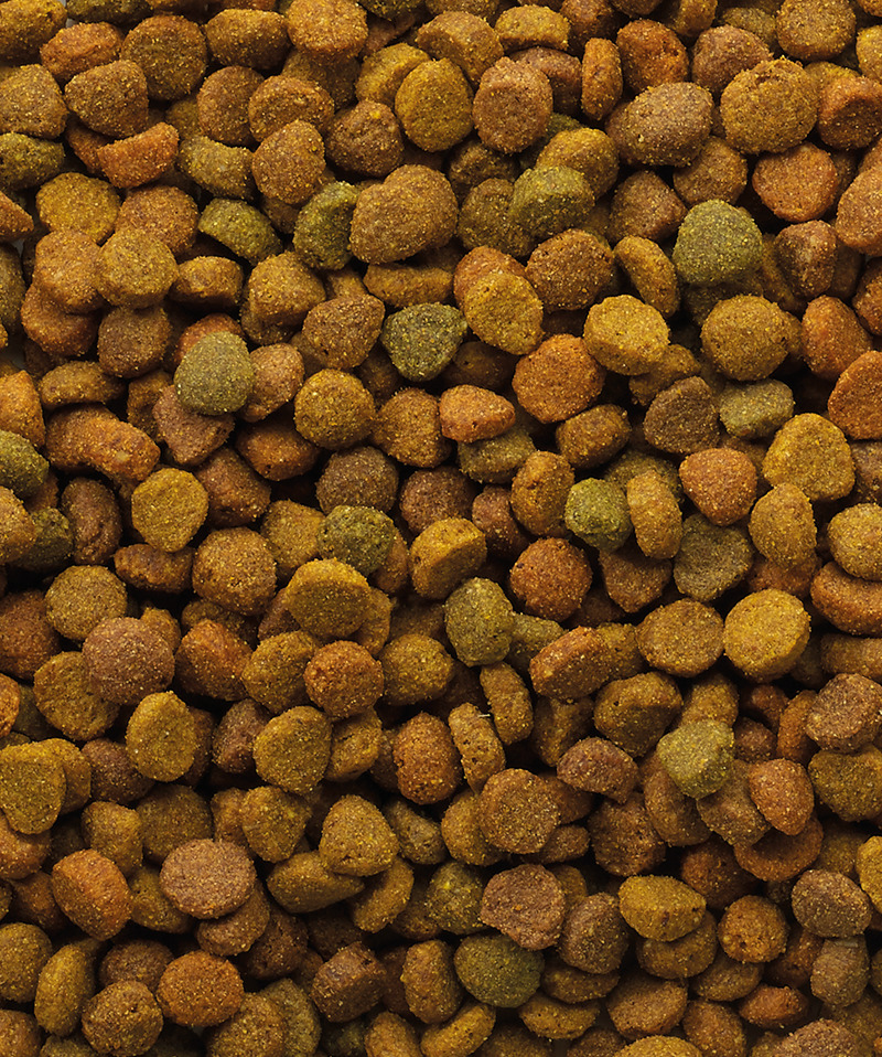 Croquettes économiques Classic Variety de 4 kg pour chat.