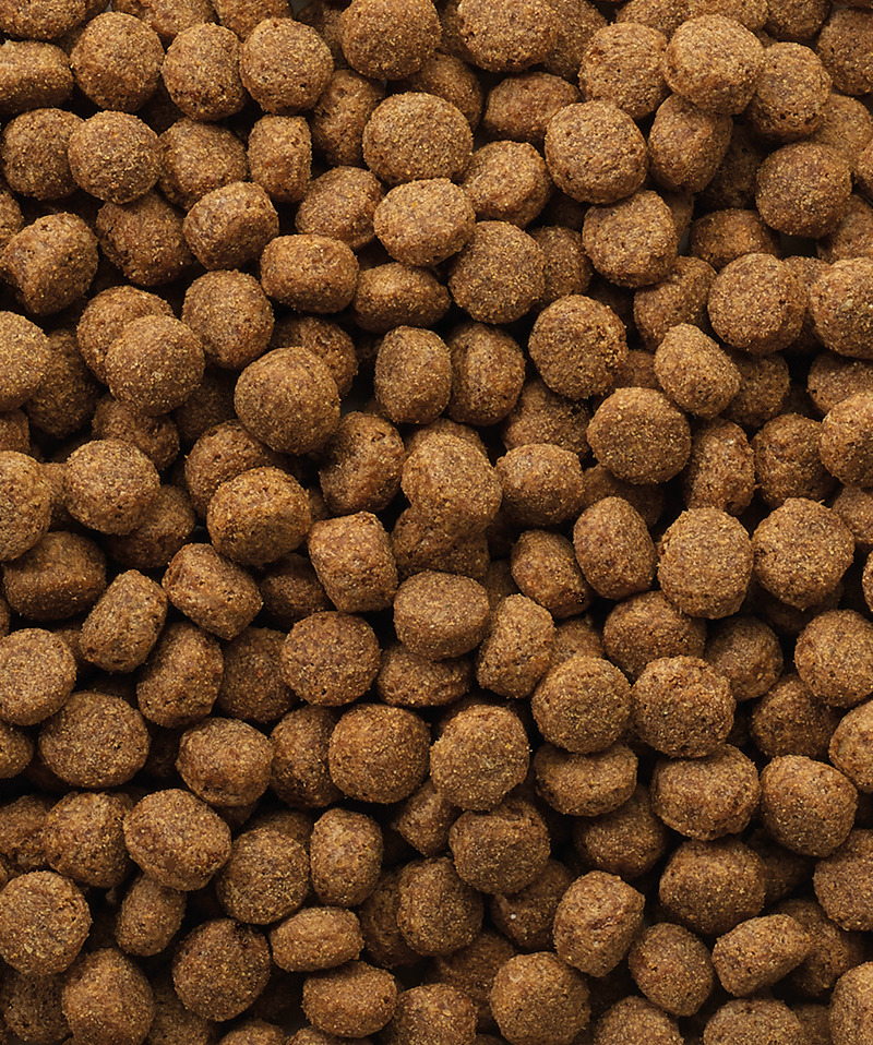 Croquettes Classic Chiot de 10 kg pour la croissance du jeune chien.