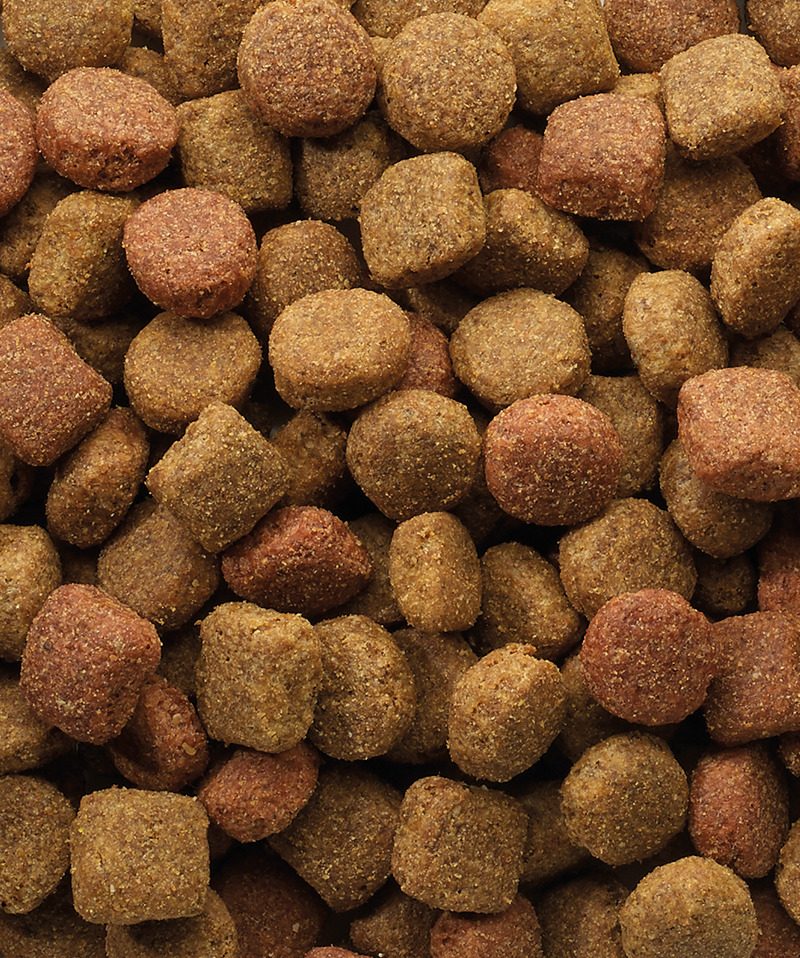 Croquettes Classic Adulte Duo Krok de 10 kg pour chien.