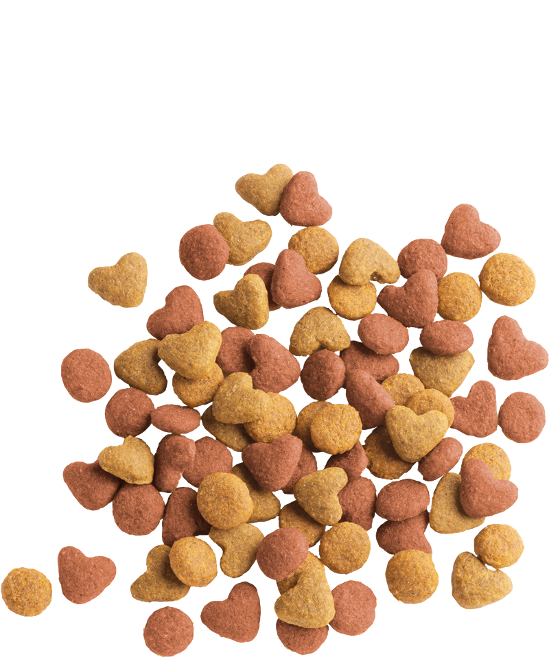 Croquettes économiques Versele-Laga Lara Chaton de 2 kg.