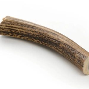 Bois de cerf taille L à mâcher pour chien.