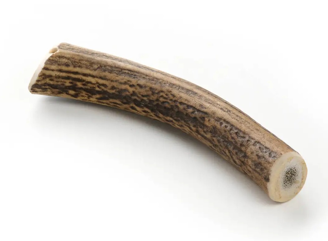 Bois de cerf taille L à mâcher pour chien.