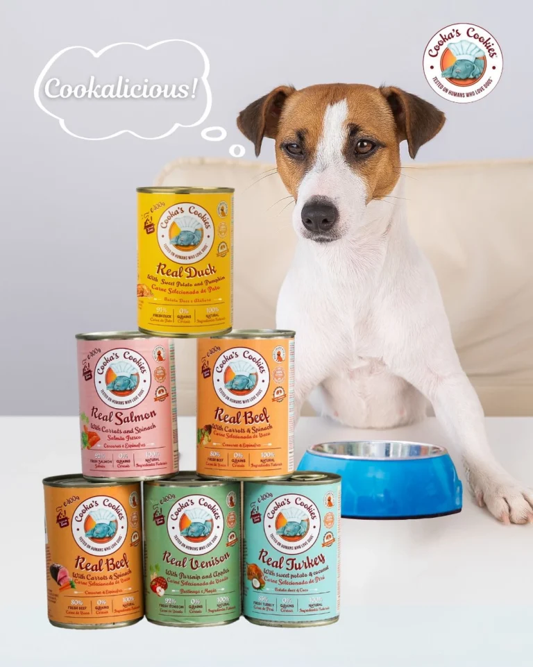 Pâtée pour chien