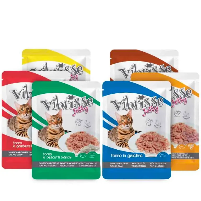 Sachet en gelée pour chat adulte