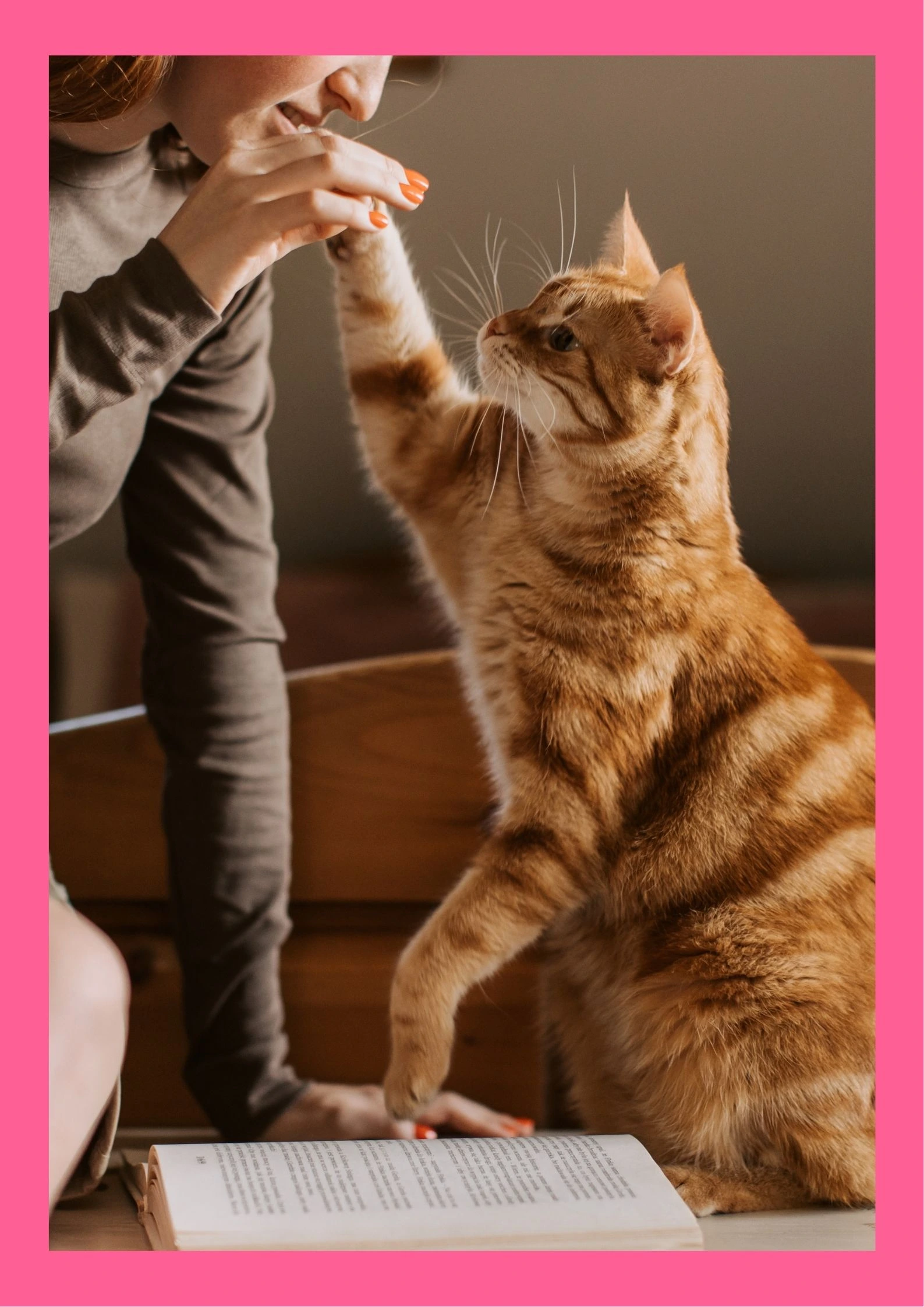 Illustration pour la catégorie de services de pet-sitting.